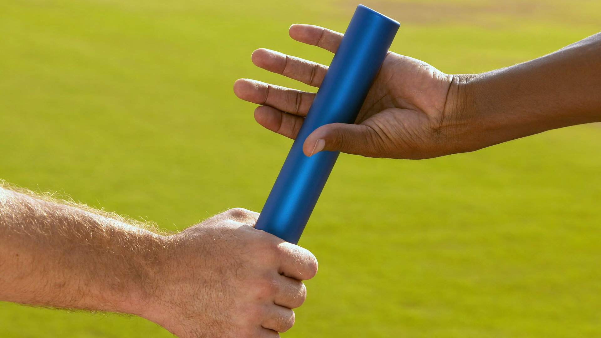 特色秋季城市马拉松，绿色环境中的极速奔跑，城市马拉松方案